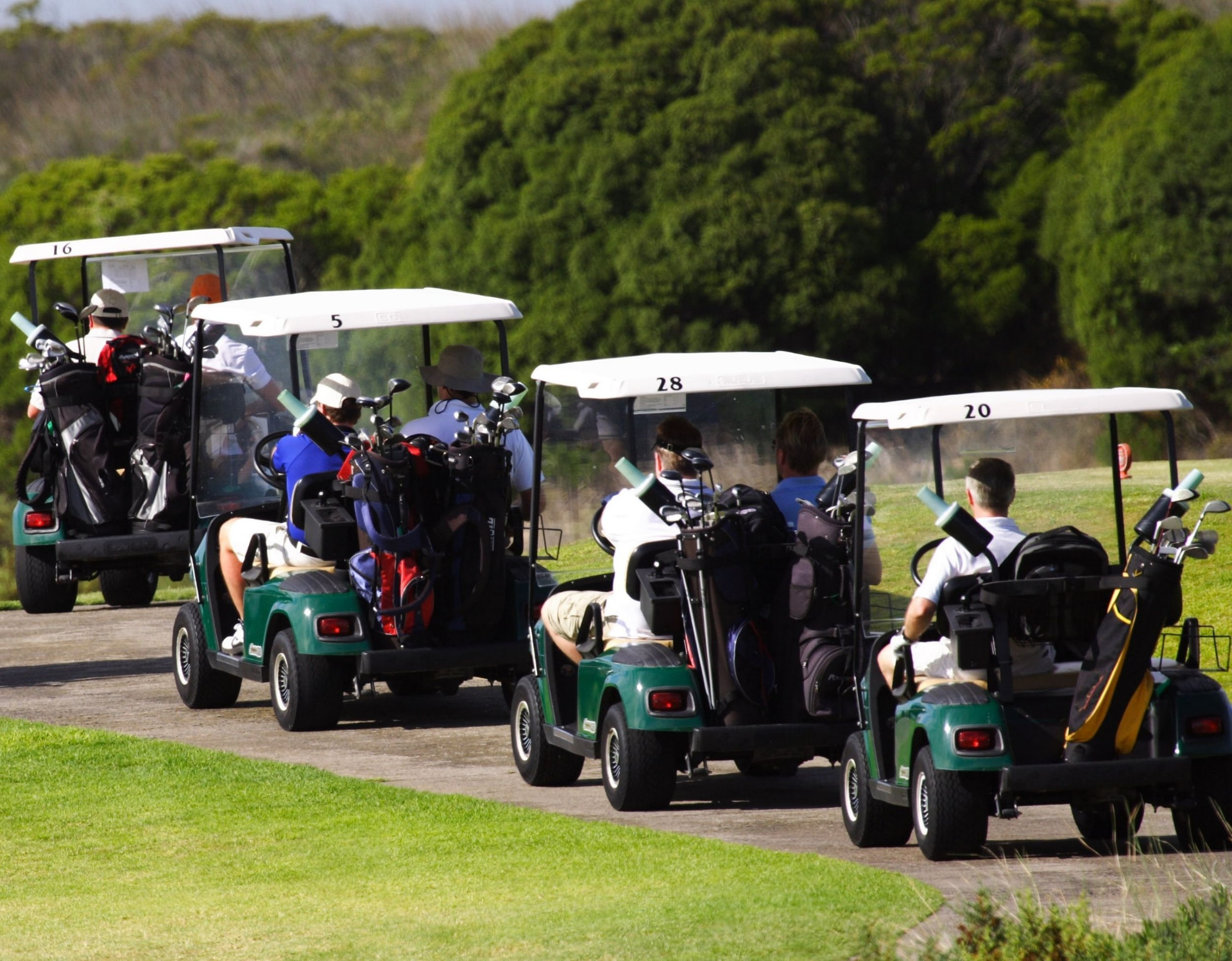 Group of golfers in carts on the De Zalze course